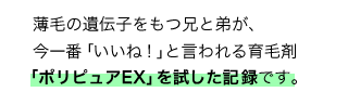 薄毛の遺伝子をもつ兄と弟が、今一番「いいね！」と言われる育毛剤「ポリピュアEX」を試した記録です。